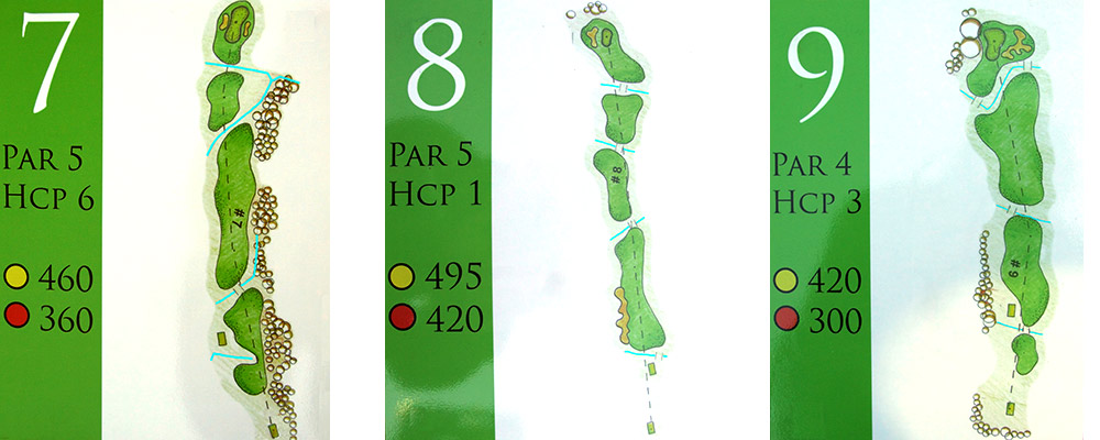 pole3.jpg